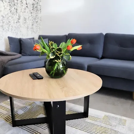 Apartman Apartnet Lux Parking Free *